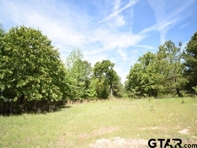 Land in Montalba