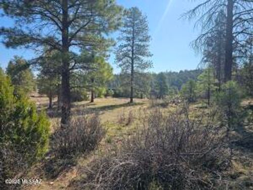3326 Black Canyon Road, Heber-Overgaard, AZ, 85933 | Card Image