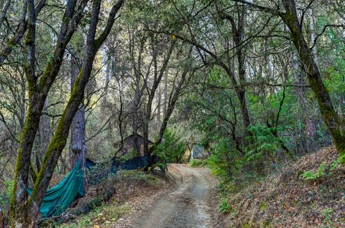 21901 Marcus Ln, Sonora, CA, 95370-8553 | Card Image