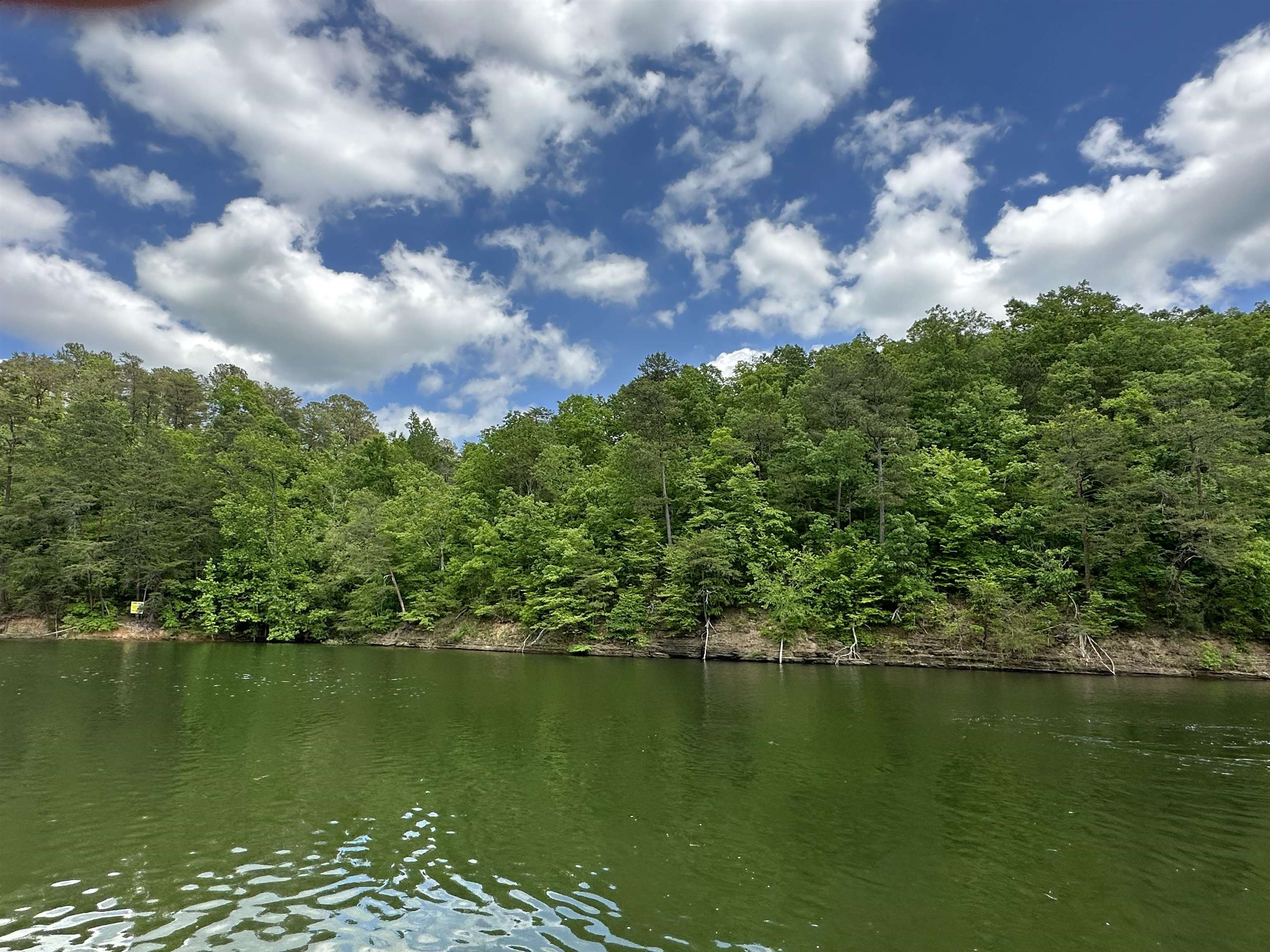 Land in Cullman 4