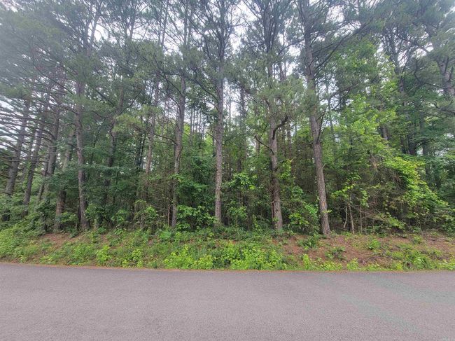 266 Mariposa Loop, Home with 0 bedrooms, 0 bathrooms and null parking in Bee Branch AR | Image 8