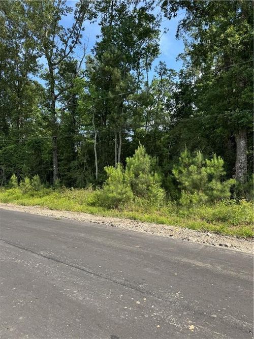 Tract 1-C Lower Rome Road, Springfield, LA, 70462 | Card Image