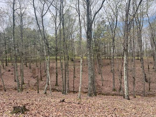 0 Willie Mauldon Rd, Lutts, TN, 38471 | Card Image