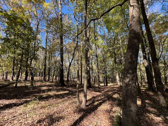 Land in Broken Bow 2