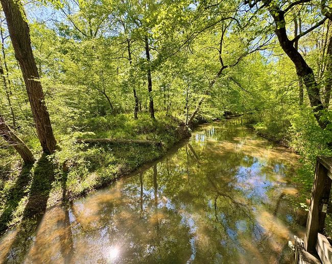 0 Ga Highway 87, Home with 0 bedrooms, 0 bathrooms and null parking in Juliette GA | Image 25