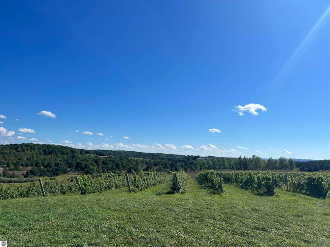 4499 S Schomberg Rd, Home with 0 bedrooms, 0 bathrooms and null parking in Cedar MI | Image 7
