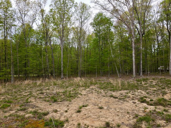 0 Deerwood Dr, Home with 0 bedrooms, 0 bathrooms and null parking in Sewanee TN | Image 22