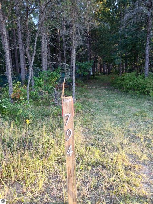 794 E M 72 Hwy, Grayling, MI, 49738-9403 | Card Image