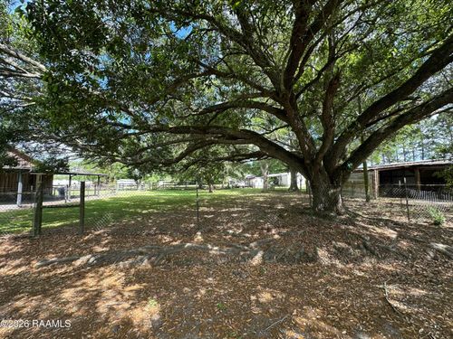Tbd Hali Dr, Crowley, LA, 70526 | Card Image