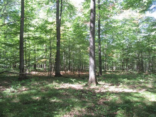 000000000 County Highway E, MASON, WI, 54856 | Card Image