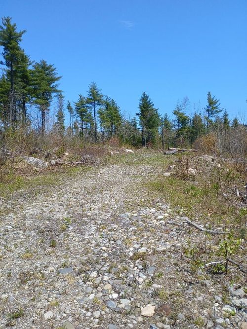 40 Eleanor Mae Road, Deblois, ME, 04622 | Card Image