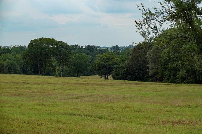 View of woods featuring a view of rural / pastoral area | Image 9