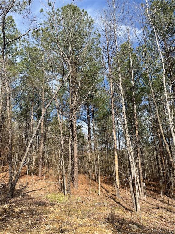 Land in Broken Bow 2