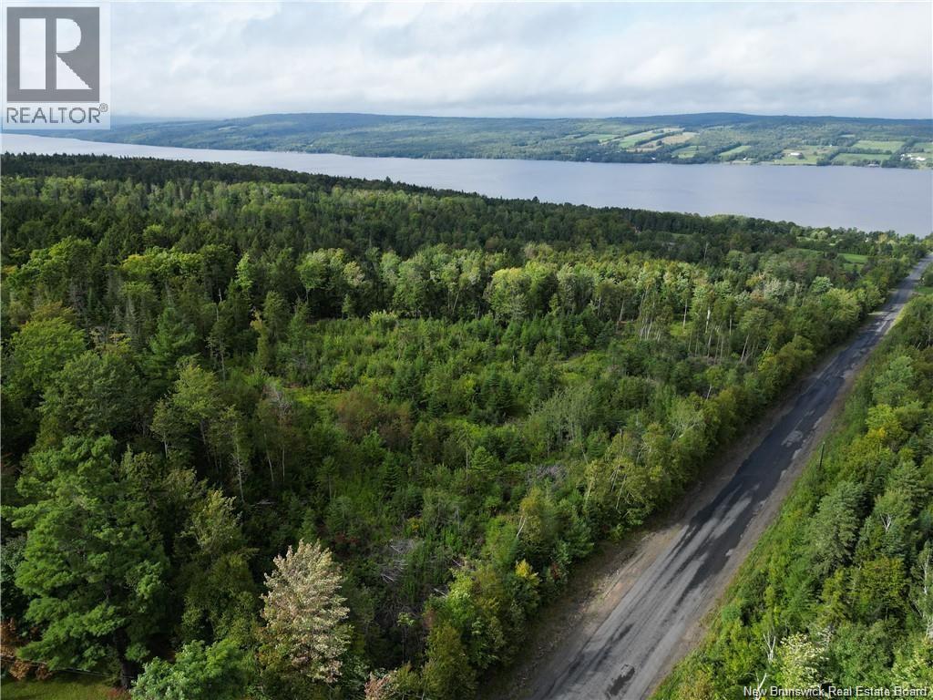 Land in Prince William 4