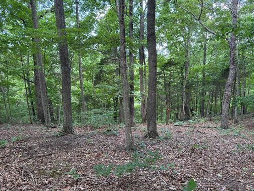 Lot 12 Cornerstone Pkwy, Allons, TN, 38541 | Card Image