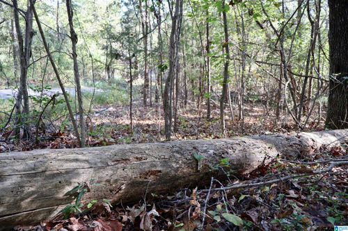 151-0 Woodhaven Dr, PINSON, AL, 35126 | Card Image