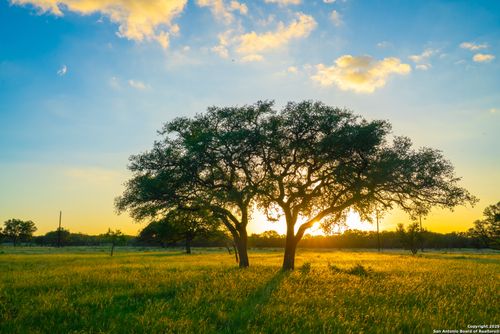 0000 Golden Hour Ranch, Johnson City, TX, 78636 | Card Image