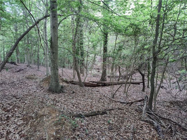 0 Old Church St, Home with 0 bedrooms, 0 bathrooms and null parking in Claremont VA | Image 29