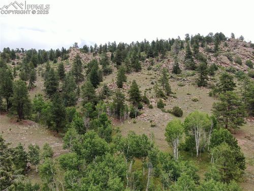 76 Crocus Cir, Florissant, CO, 80816-8824 | Card Image