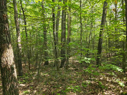 0 Reed Carr Rd, Antrim, NH, 03440 | Card Image