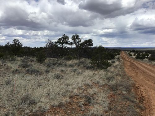 lot 39 Country Lane, Ramah, NM, 87321 | Card Image