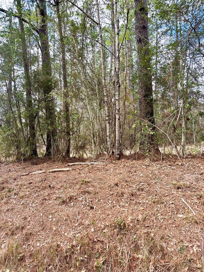 101 Will Thompson Rd, Home with 0 bedrooms, 0 bathrooms and null parking in Picayune MS | Image 10