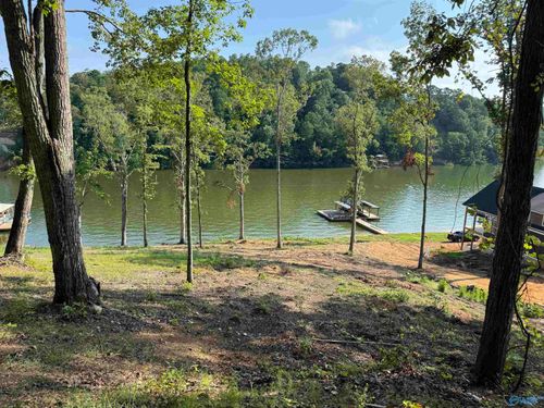 .39 acres County Road 594, Leesburg, AL, 35983 | Card Image