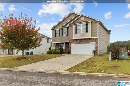 325 Blackberry Blvd, SPRINGVILLE, AL, 35146-2000 | Card Image