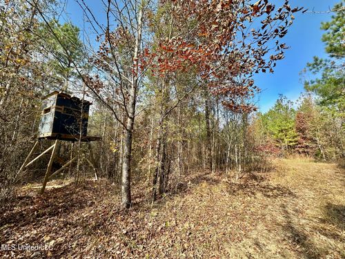 3 Mccool Rd, Mc Cool, MS, 39108 | Card Image