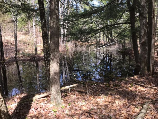 305 Middleton Rd, Home with 0 bedrooms, 0 bathrooms and null parking in Milton NH | Image 4