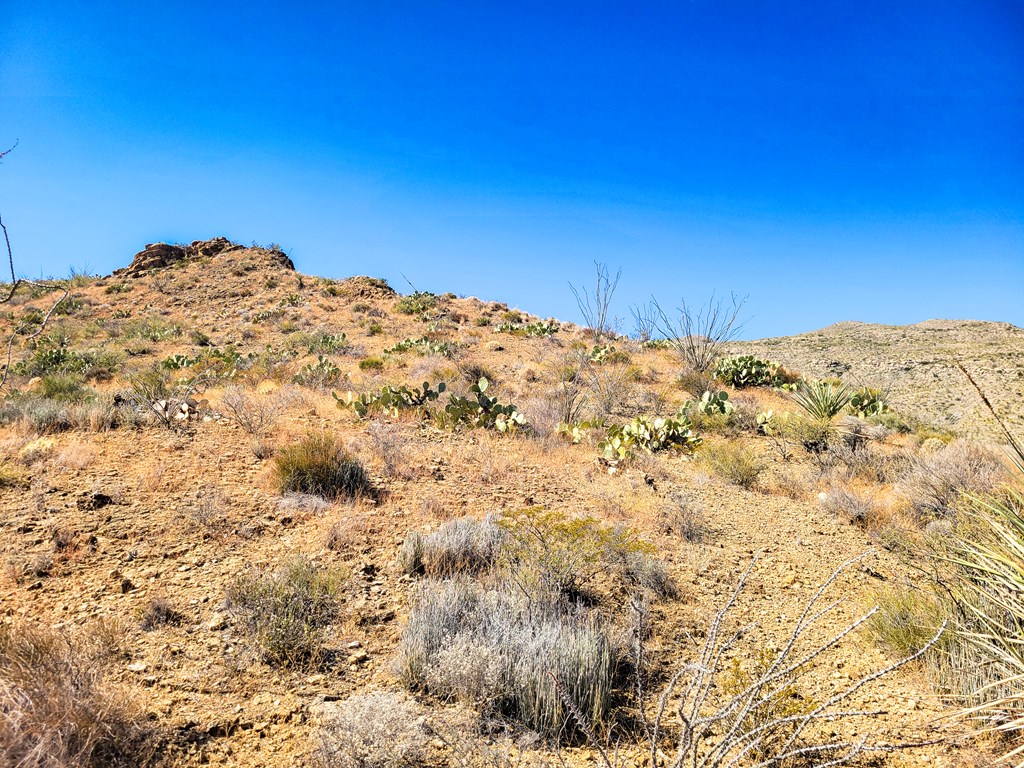 Land in Terlingua 4