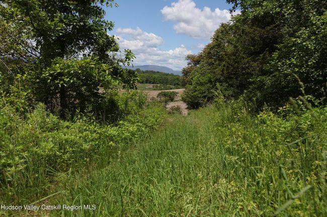 3 County Route 6, Home with 0 bedrooms, 0 bathrooms and null parking in Germantown NY | Image 6