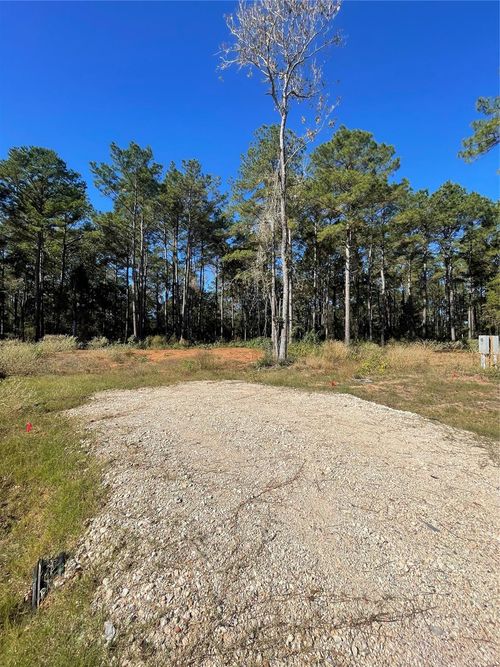 11303 Annie Creek Drive, Willis, TX, 77378 | Card Image