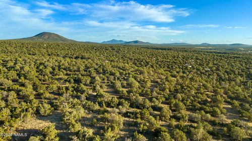 591 E Deerlick Trl, Williams, AZ, 86046 | Card Image