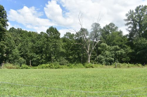 0 Countrywood Ln, Gainesboro, TN, 38562 | Card Image