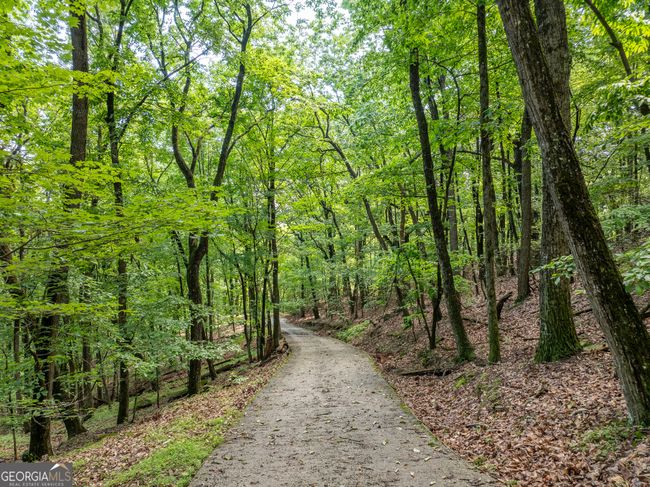 3.65AC Emory Stephens Rd, Home with 0 bedrooms, 0 bathrooms and null parking in Murrayville GA | Image 6