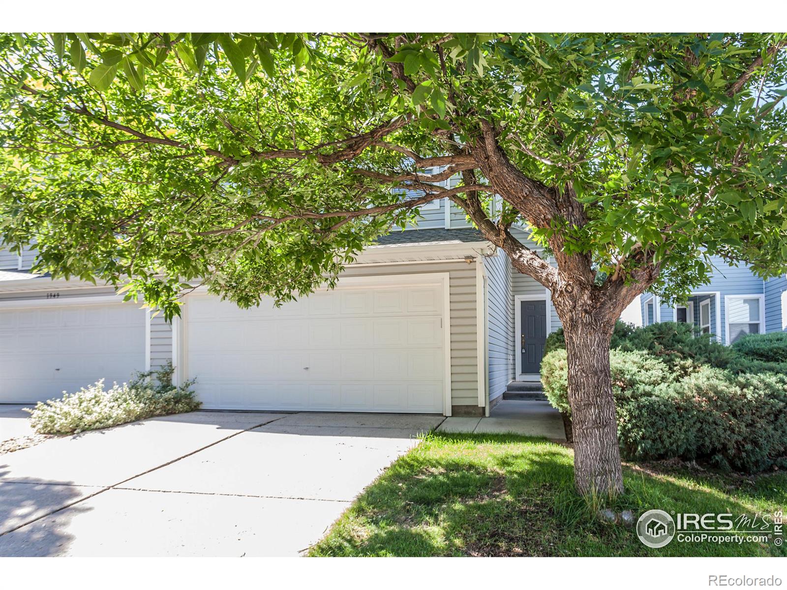 Dove Creek Cir, Loveland, CO 80538