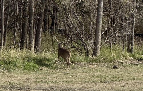 58 AC E Cook St, PORTAGE, WI, 53901 | Card Image