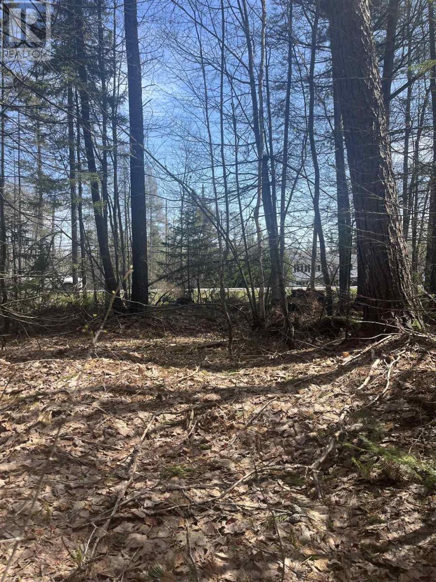 Land in Sault Ste. Marie 3