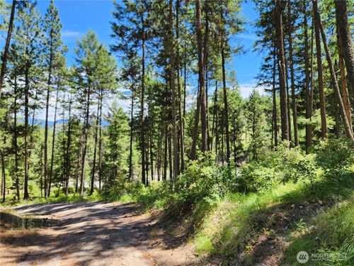 0 Lot 302 Klondike Rd, Republic, WA, 99166 | Card Image