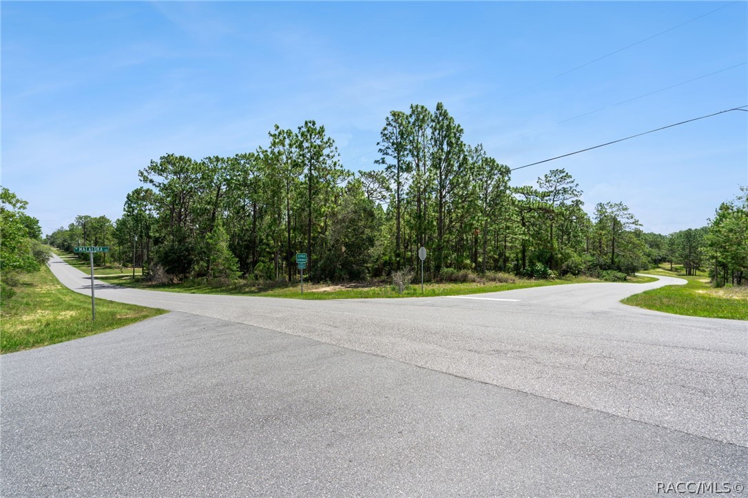 Land in Citrus Springs