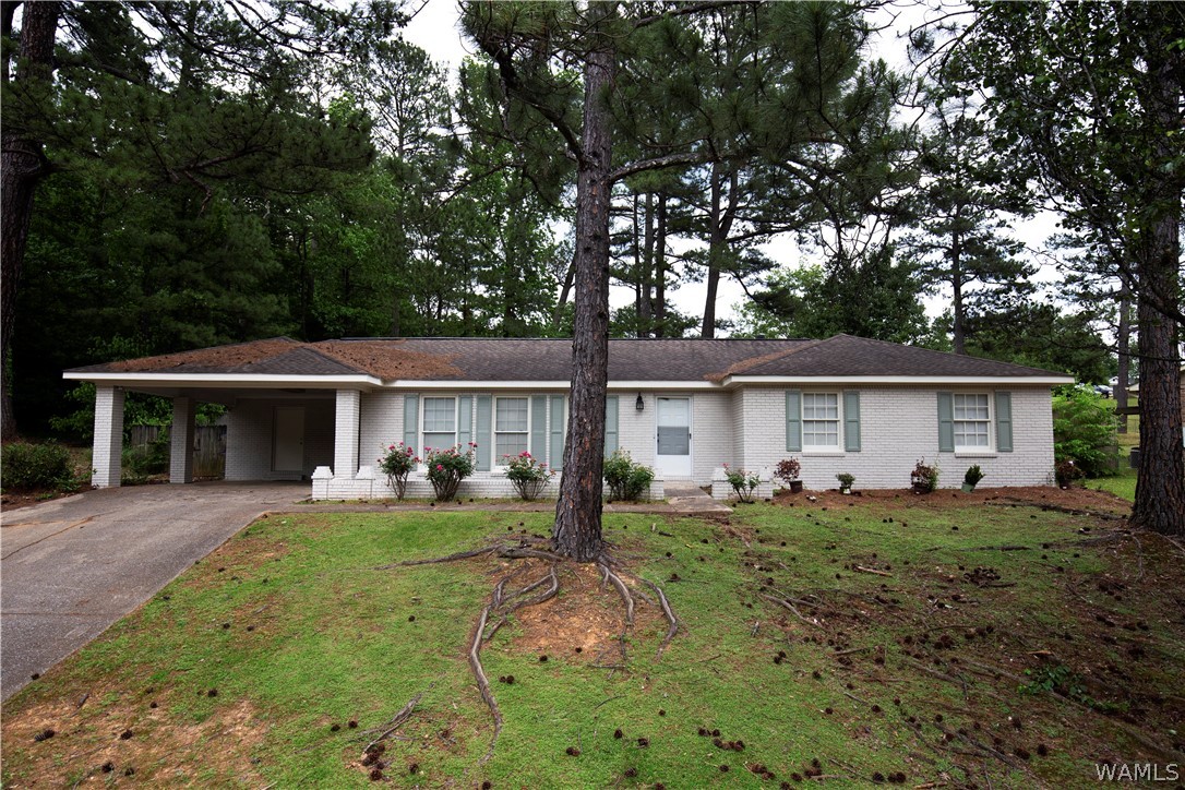 16th Ave, Tuscaloosa, AL 35406 #1