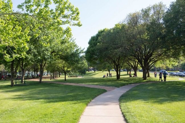 Wells Branch Municipal Utility District Park Area | Image 13