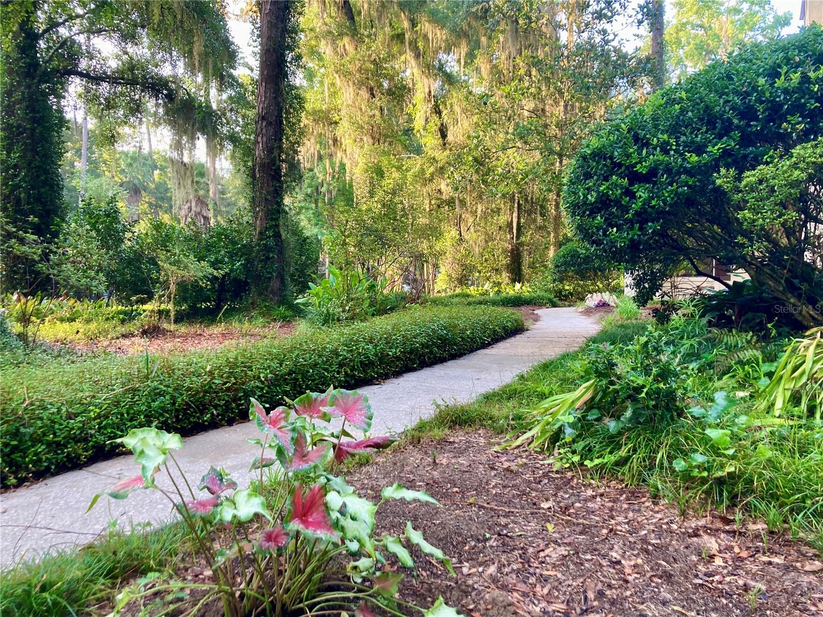 38th St, Gainesville, FL 32605