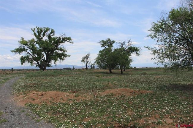 14433 2600 Rd, Home with 0 bedrooms, 0 bathrooms and null parking in Cedaredge CO | Image 42