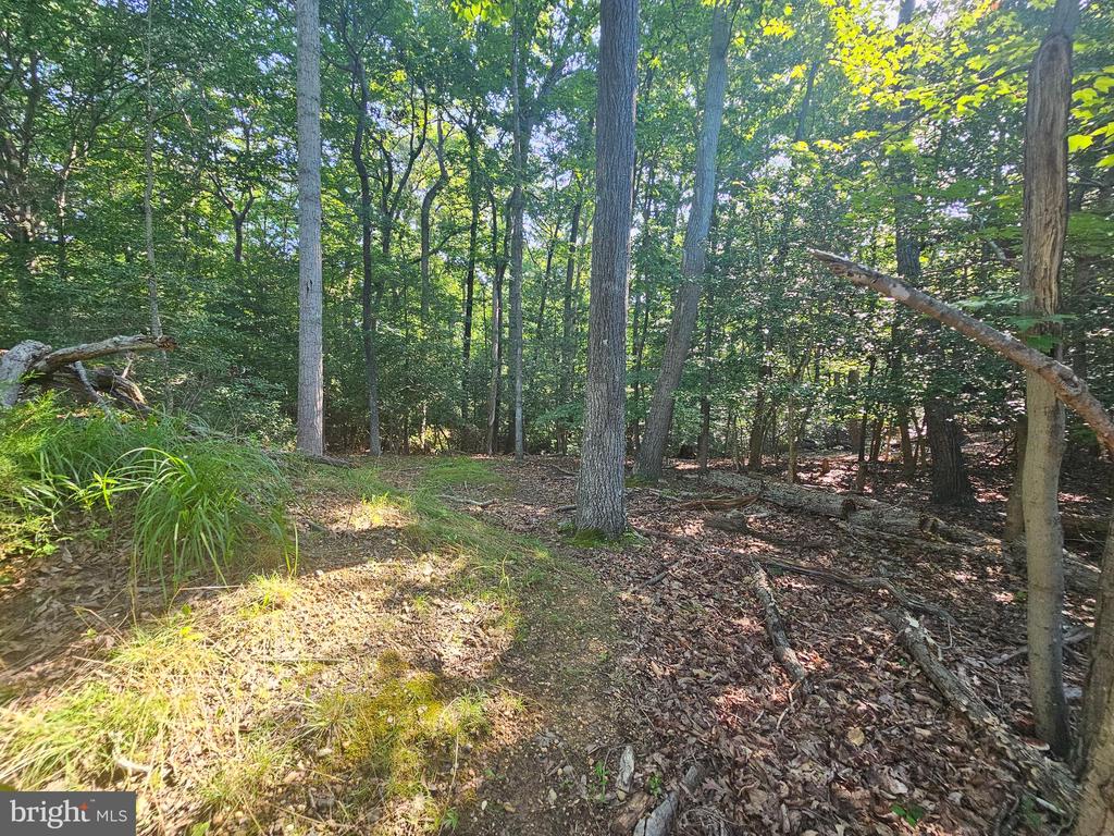 Residential in LUSBY 4