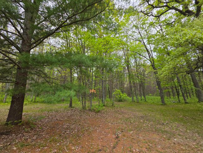 7470 Becker Rd, House other with 3 bedrooms, 1 bathrooms and null parking in Manistee MI | Image 11