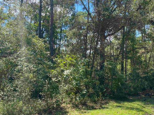 Vacant Ne Blue Springs Church Road, Lee, FL, 32059 | Card Image