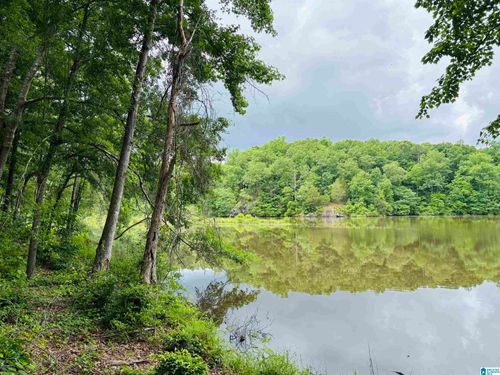 lot-8-Lot 8 County Road 499, WOODLAND, AL, 36280 | Card Image