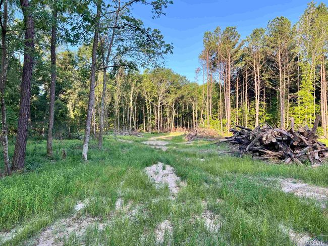 2735 Brandy Rd, Home with 0 bedrooms, 0 bathrooms and null parking in New Diana TX | Image 16